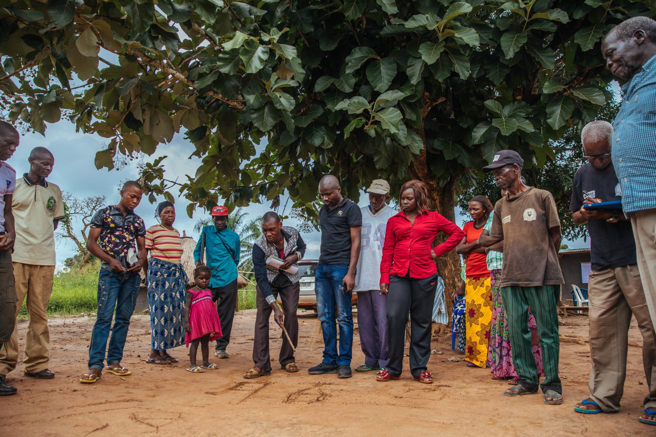 A group stands under a large tree; one holds a stick, others observe. A group stands under a large tree; one holds a stick, others observe.