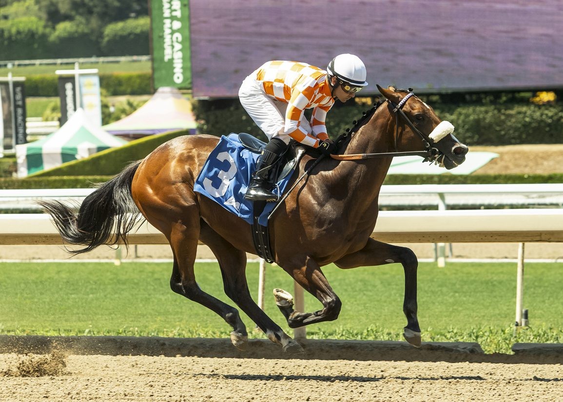 Jockey in orange checkered silks rides brown horse numbered 3 on dirt racetrack. Jockey in orange checkered silks rides brown horse numbered 3 on dirt racetrack.