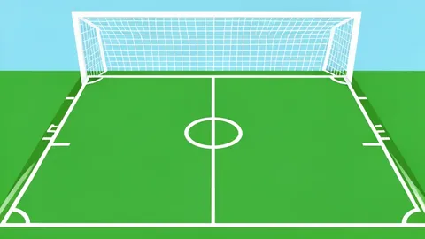 A green football pitch with white lines and a goal net in the background