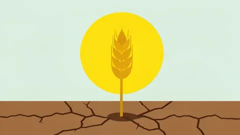 A golden wheat stalk standing in dry, cracked earth under a bright sun