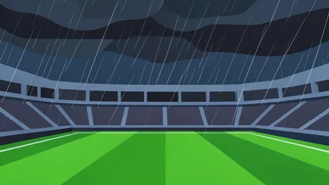 A large outdoor stadium with a green grass field under a dark, stormy sky with rain falling