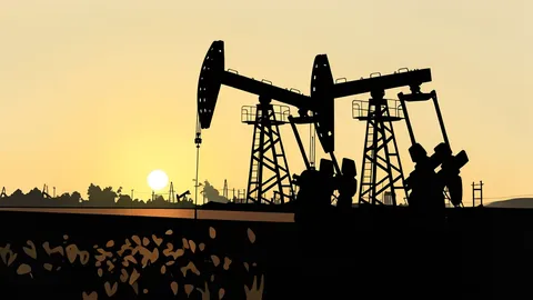 A cluster of industrial oil storage tanks under a clear sky