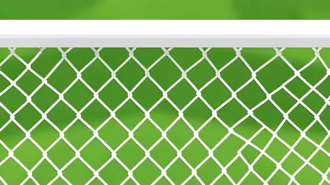 A green football pitch with white boundary lines and a goal net in the background