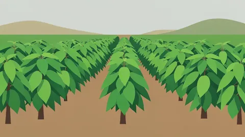 A rural landscape featuring rows of green coca plants in a field.