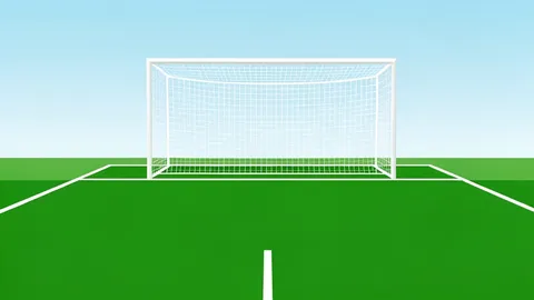 A green football pitch with white boundary lines and a goal net in the background