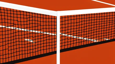 A red clay tennis court with white boundary lines and a net stretched across the center