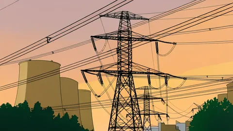 A high-voltage electricity transmission tower standing in a green rice paddy field