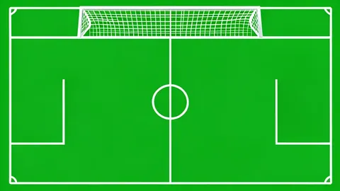 A green grass football pitch with white boundary lines and a goal net in the background