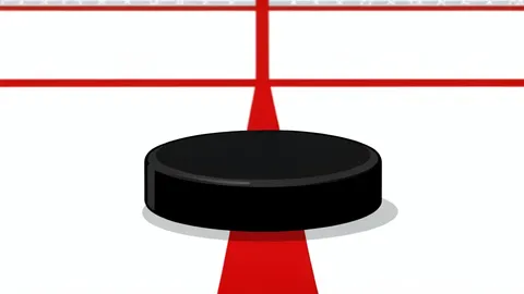 An ice hockey rink with white boards and red goal lines