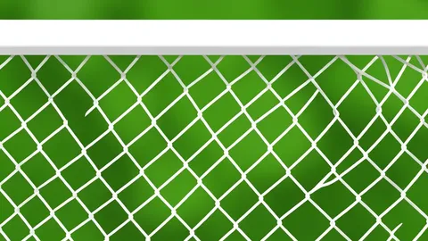 A green football pitch with white boundary lines and a goal net in the background