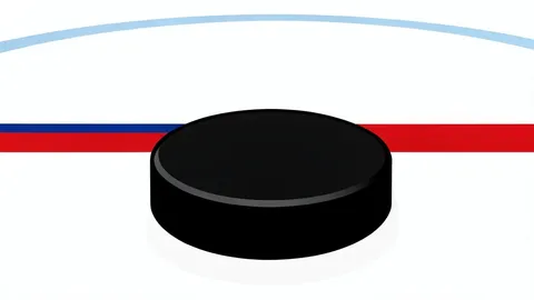 An ice hockey puck resting on the white ice surface of a rink