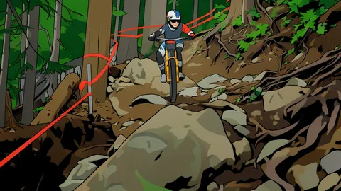 A steep, rocky mountain trail winding through a dense forest with exposed tree roots and loose gravel