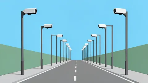 A row of automated license plate reader cameras mounted on poles along a city street