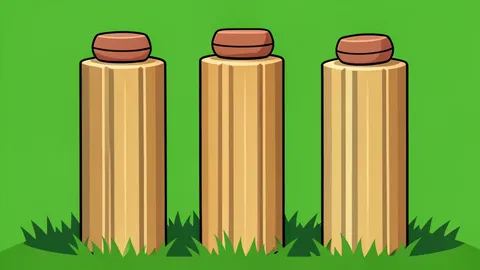 A grass cricket pitch with wooden stumps and bails at one end