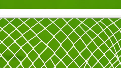 A green football pitch with white lines and goalposts under bright stadium lights.